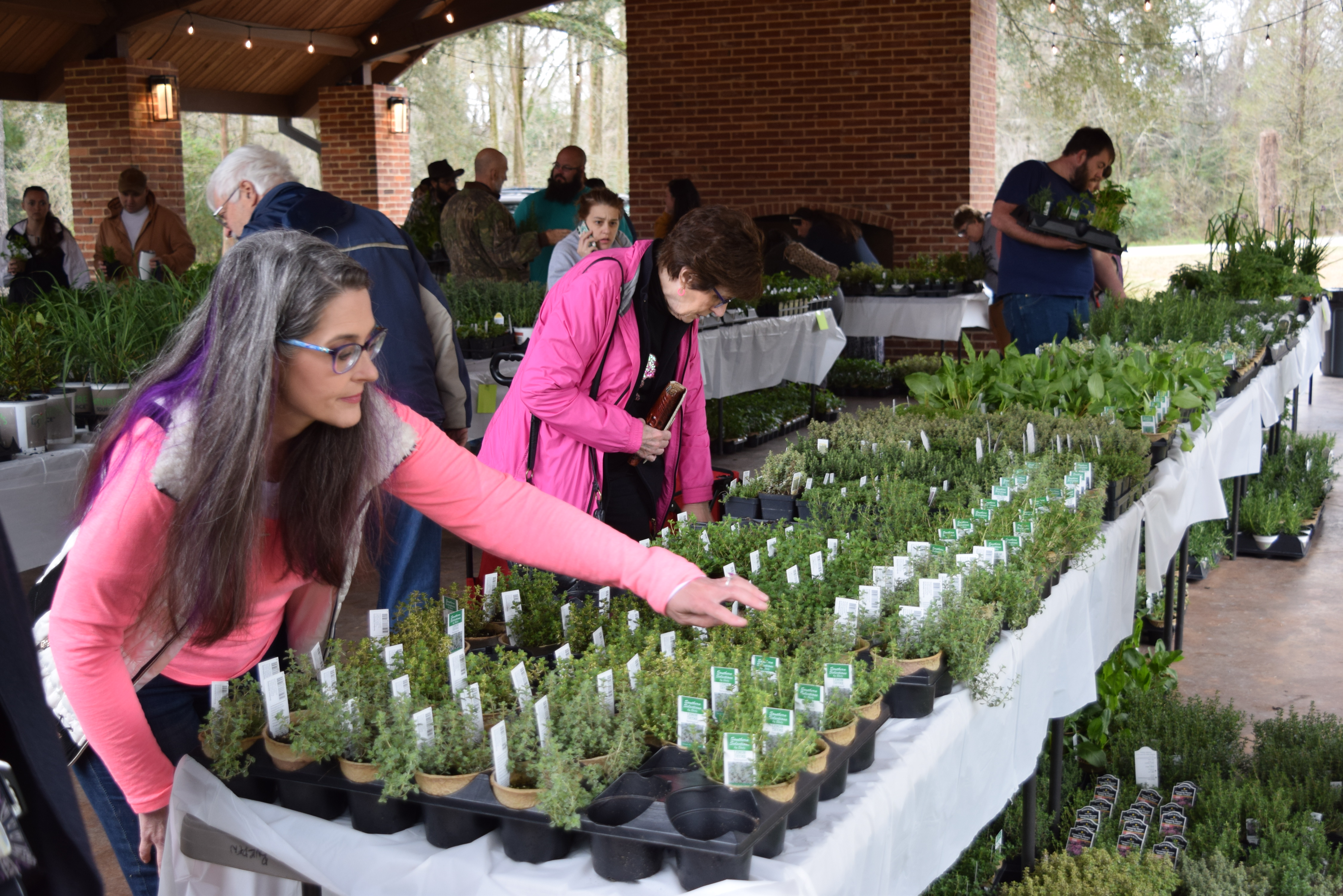 Herb Day to take place Feb. 24 at LSU AgCenter Botanic Gardens at Burden 